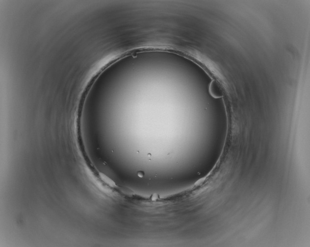 X0000112371237200908131510