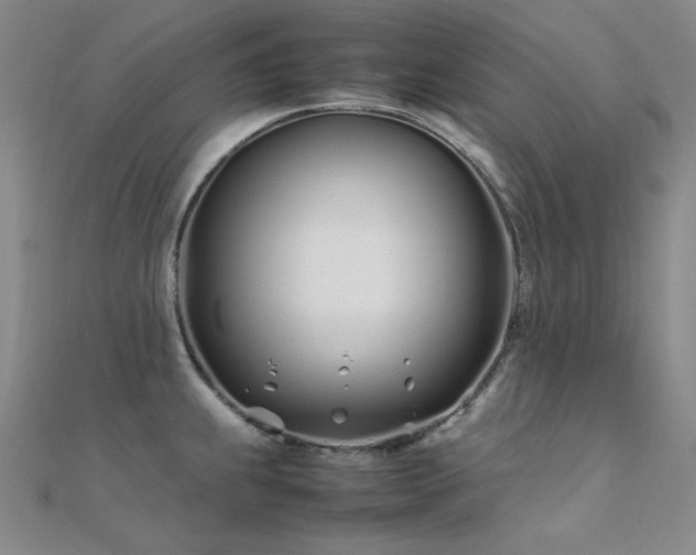 X0000112371239200908131510