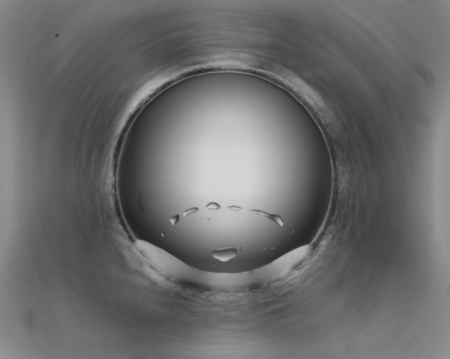 X0000112371240200908131510