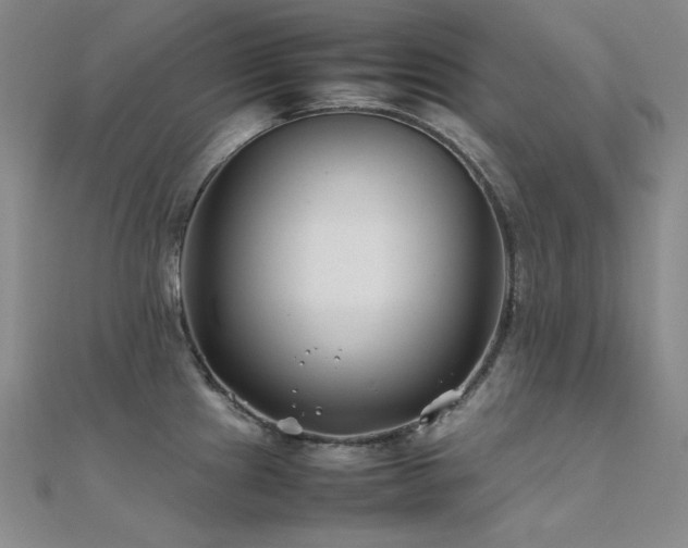 X0000112371241200908131510