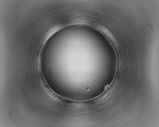 X0000112371242200908131510