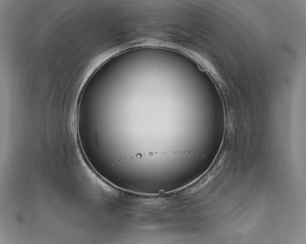 X0000112371247200908131510