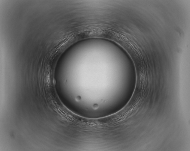 X0000112371250200908131510