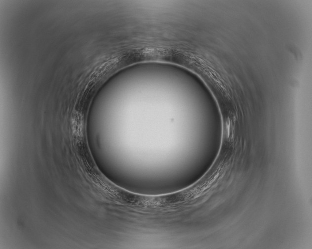 X0000112371251200908131510