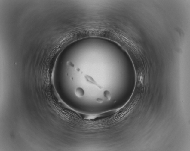 X0000112371252200908131510