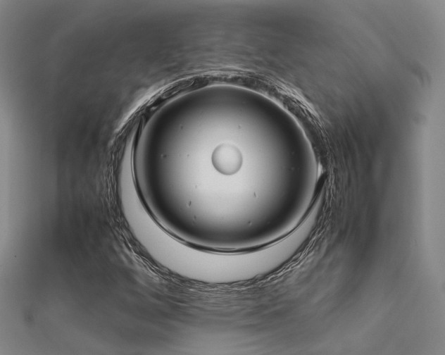 X0000112371256200908131509