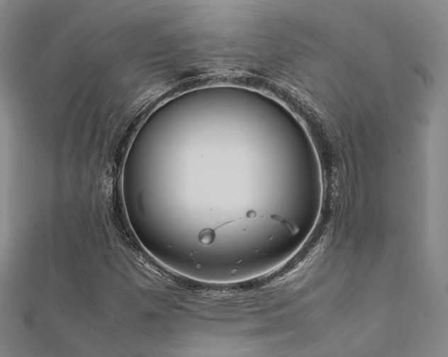 X0000112371257200908131509