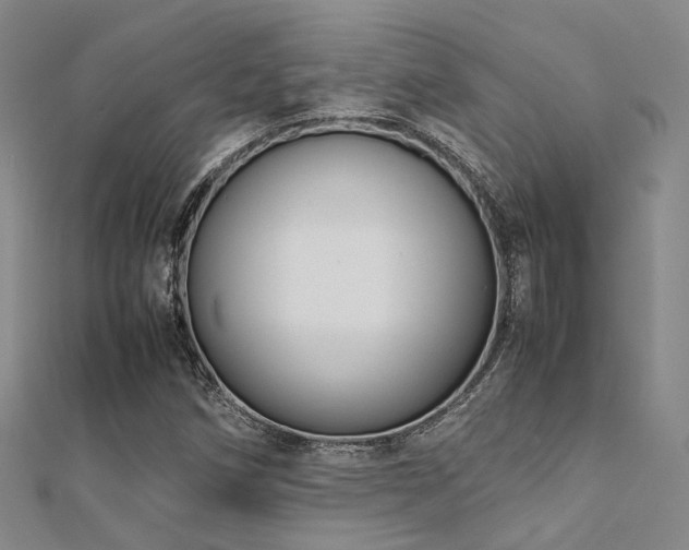 X0000112371258200908131509