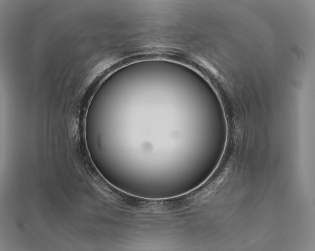 X0000112371259200908131509