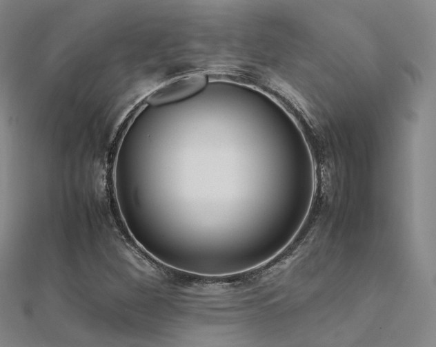 X0000112371260200908131509