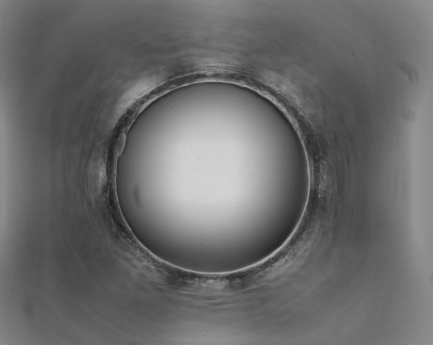 X0000112371261200908131509