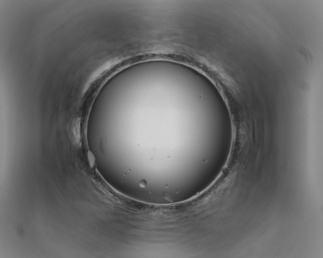X0000112371262200908131509