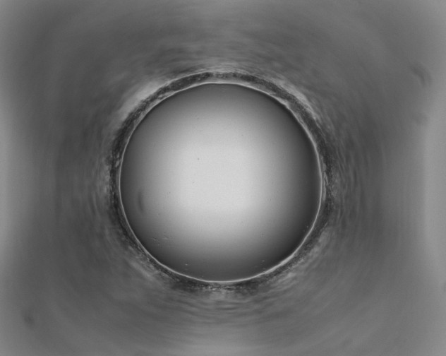 X0000112371263200908131509