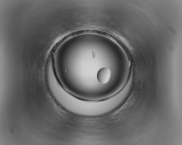 X0000112371264200908131509