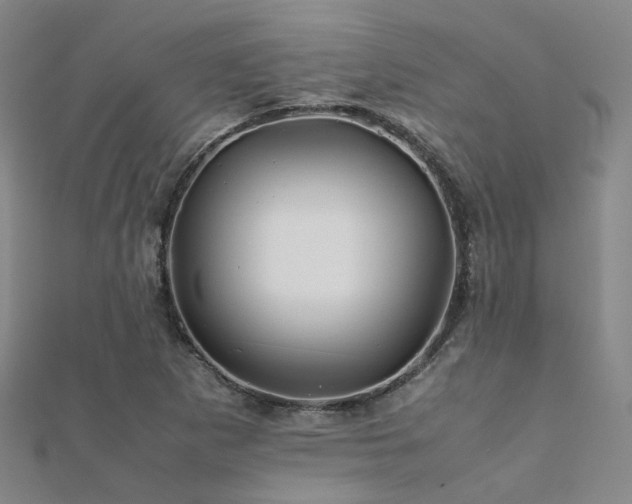 X0000112371265200908131509