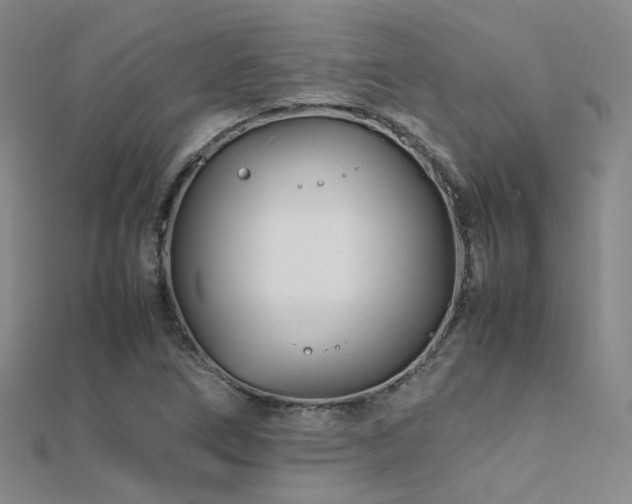 X0000112371266200908131509