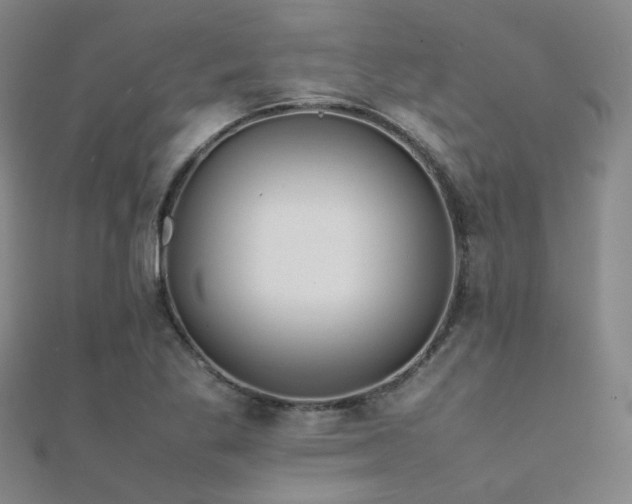 X0000112371269200908131509