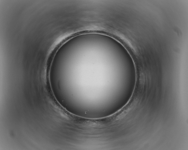 X0000112371270200908131509