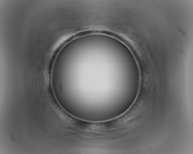 X0000112371271200908131509
