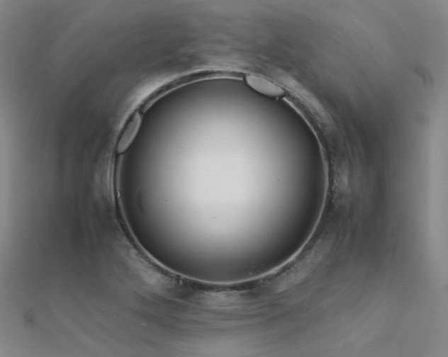 X0000112371272200908131509