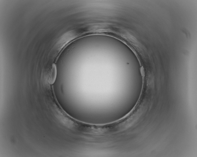 X0000112371273200908131509