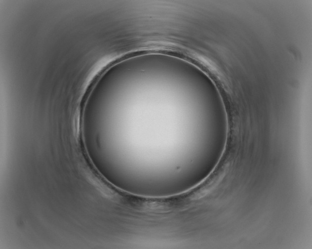X0000112371275200908131509