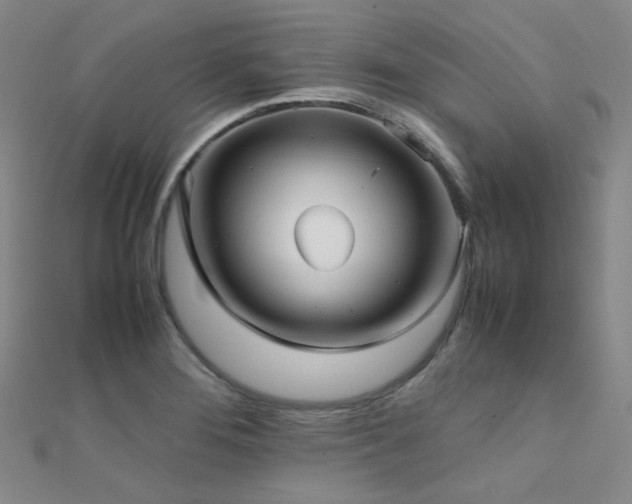 X0000112371276200908131509