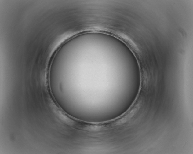 X0000112371278200908131509