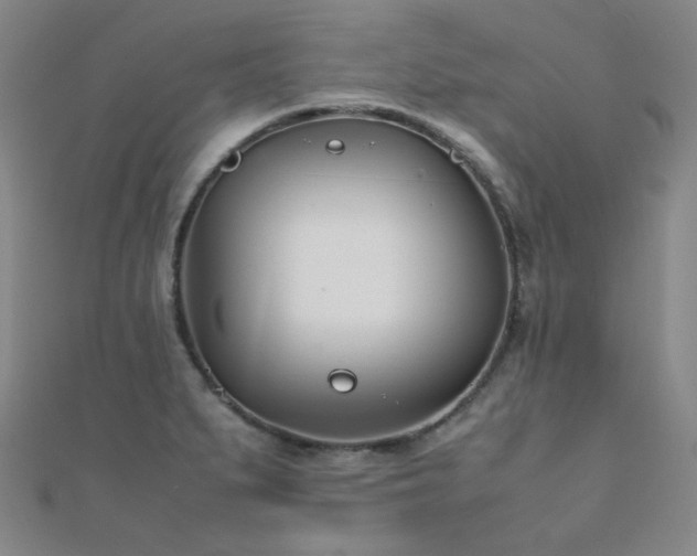 X0000112371279200908131509