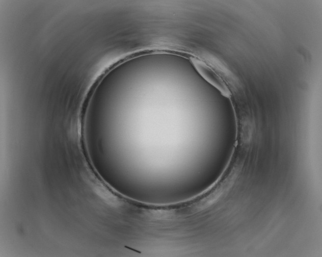 X0000112371280200908131509