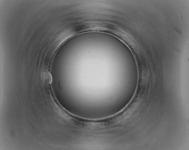 X0000112371281200908131509