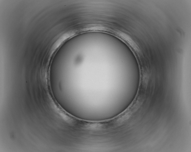 X0000112371282200908131509