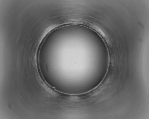X0000112371283200908131509
