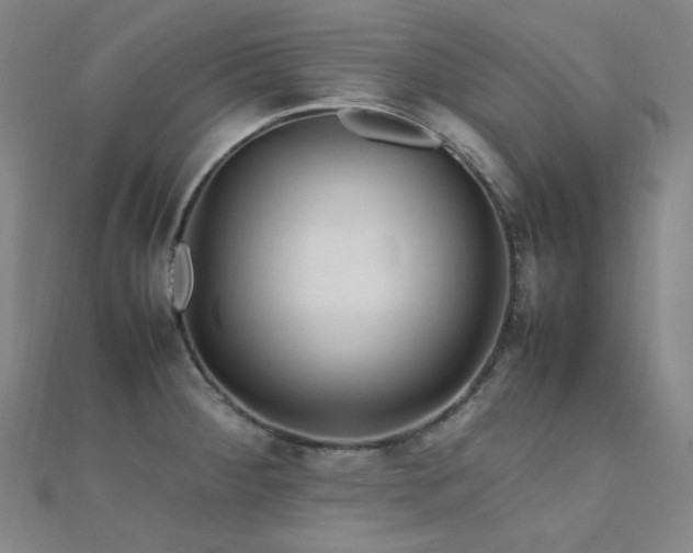 X0000112371284200908131509