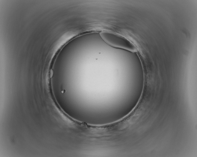 X0000112371285200908131509