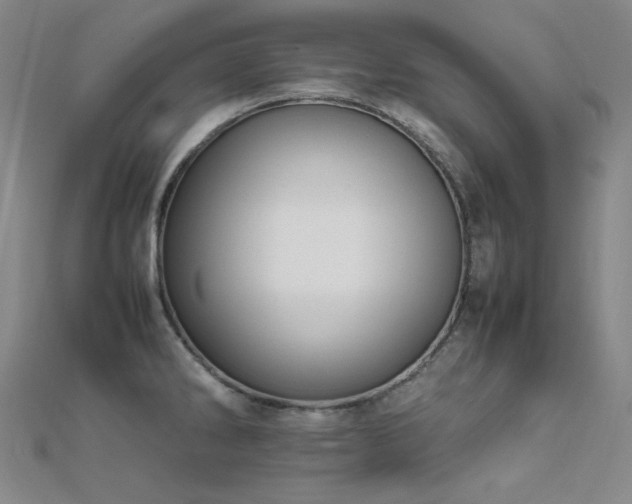 X0000112371286200908131509