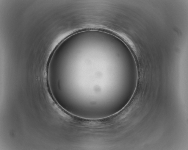 X0000112371287200908131509