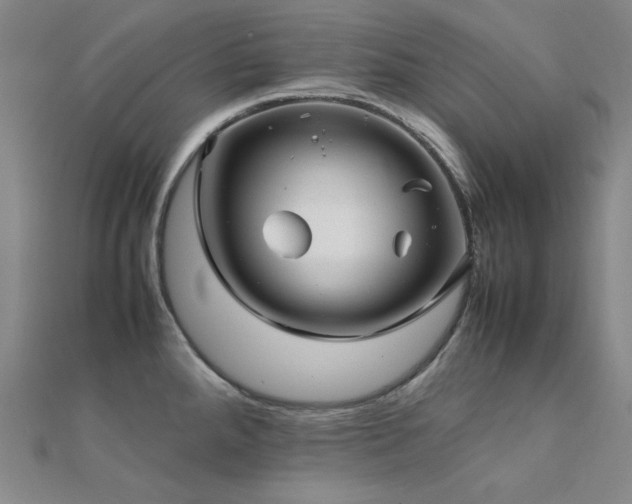 X0000112371288200908131509