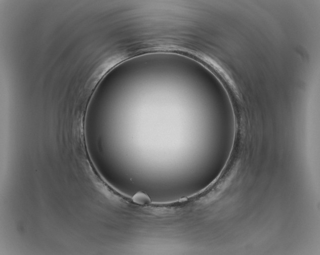 X0000112371289200908131509