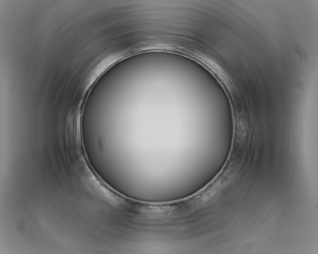 X0000112371290200908131509