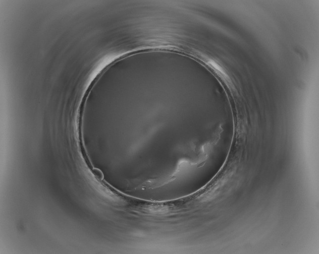 X0000112371291200908131509