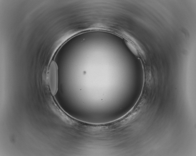 X0000112371292200908131509