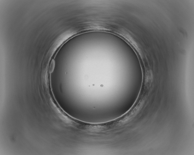 X0000112371293200908131509