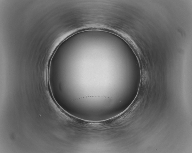 X0000112371295200908131509