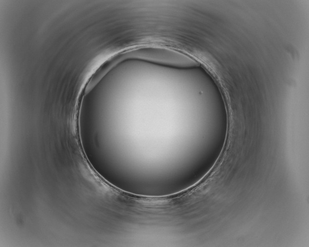X0000112371296200908131509