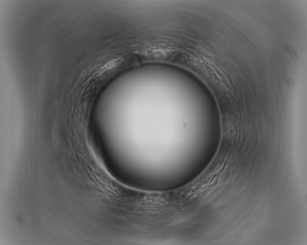 X0000112371297200908131508