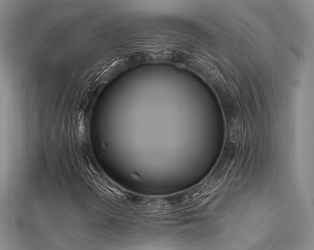 X0000112371298200908131508