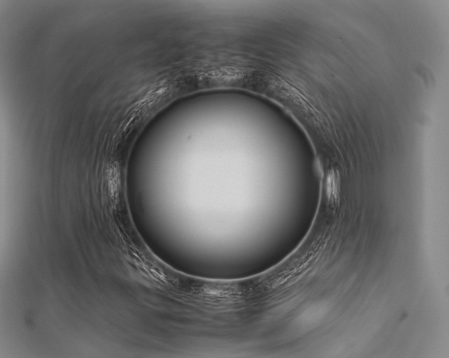 X0000112371299200908131508