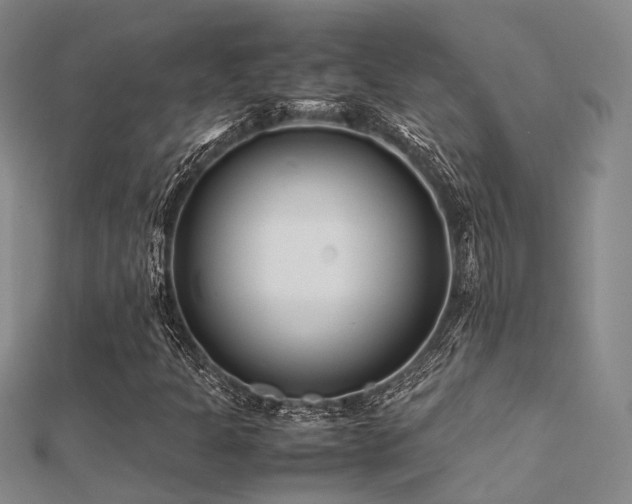 X0000112371301200908131508