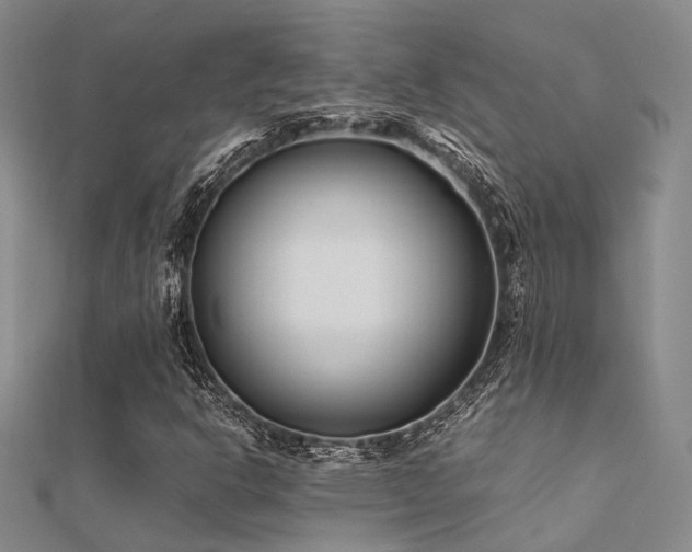 X0000112371302200908131508